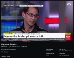Skärmdump från SVT
