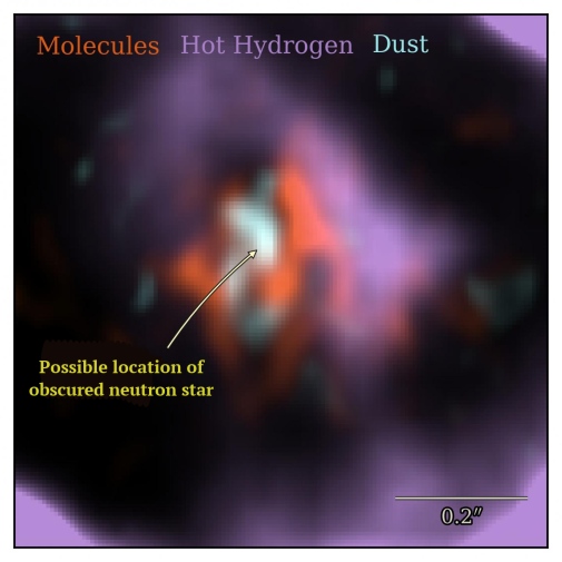 SN 1987A and surroundings An image showing that molecules, hot hydrogen gas, and hot dust are not co-located near SN1987A.