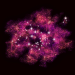 A spongy web of dark matter with supernovae as points embedded throughout.