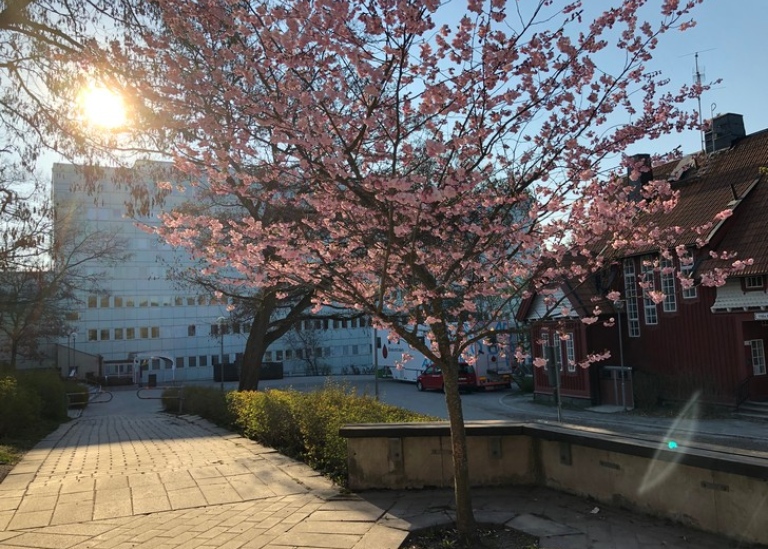 Stockholm University