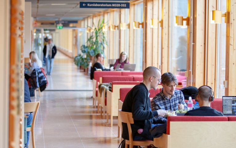 Studenter äter lunch i uppehållsrum