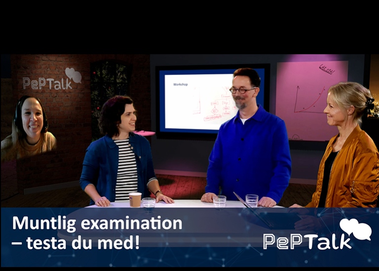 Pedagogiska panelen i programmet PePTalk. Foto: Jonas Collin