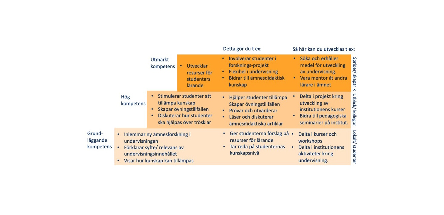 Figur 1: Exempel på aktiviteter på olika kompetensnivåer för akademiskt lärarskap inom dimensionen Ämnesexpert och guide.