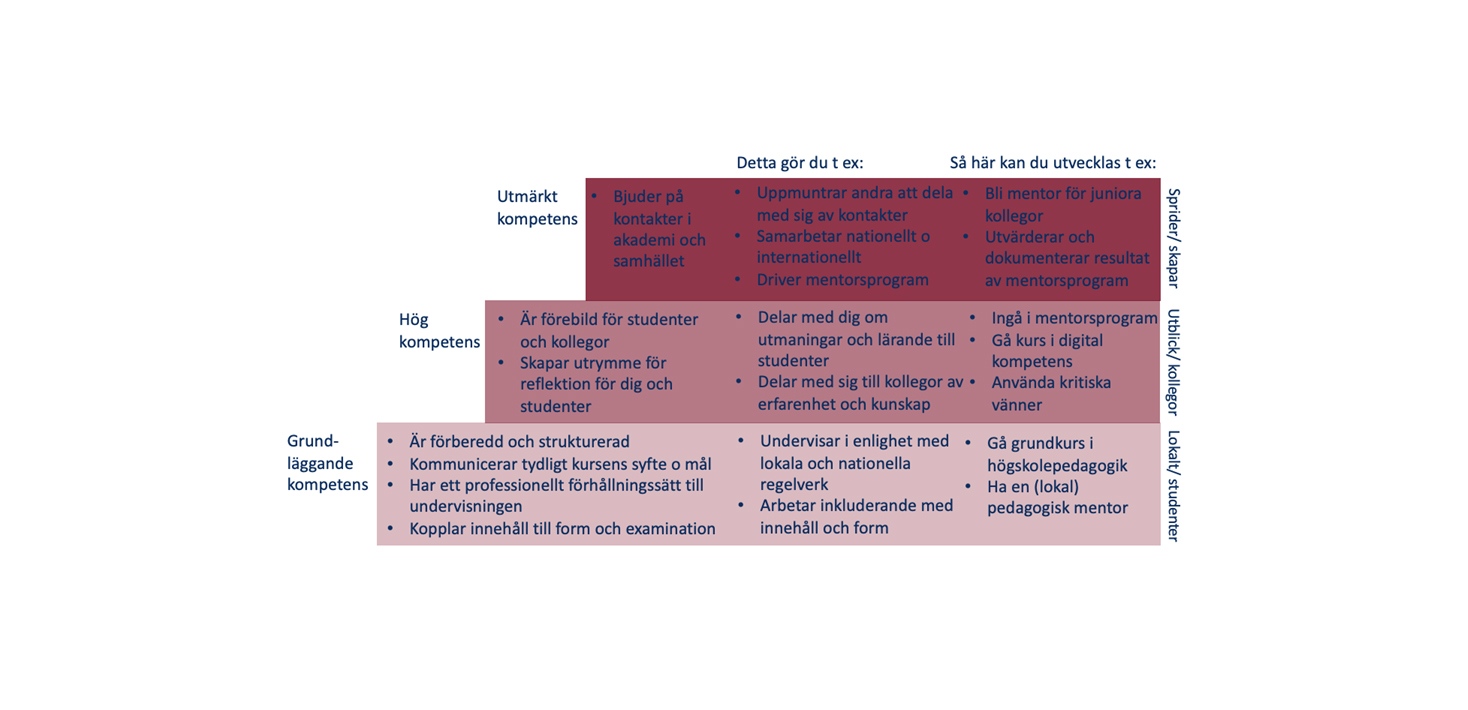 Figur 2: Exempel på aktiviteter på olika kompetensnivåer för akademiskt lärarskap inom dimensionen Förebild och mentor.