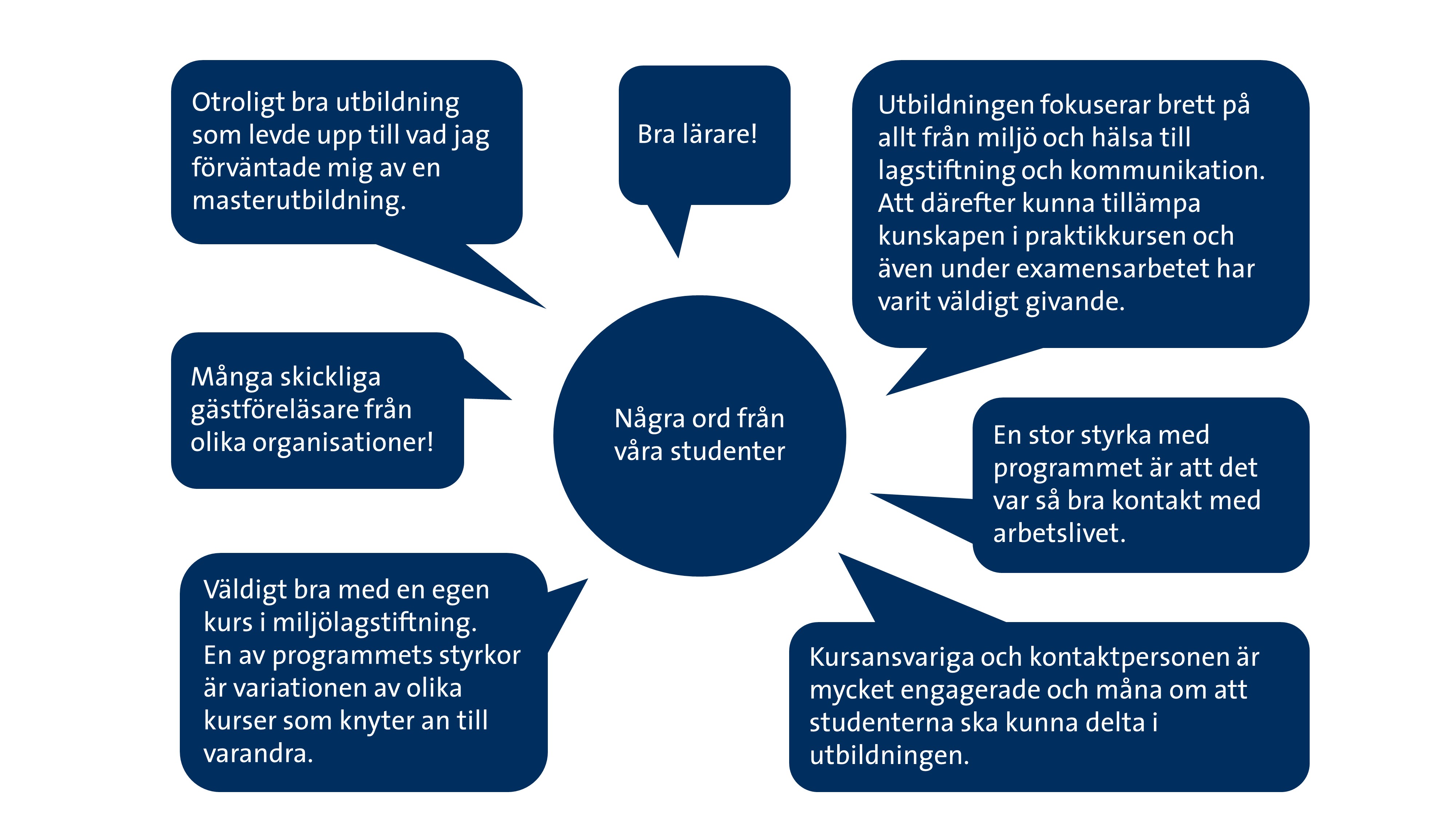 Några ord från våra MHS-studenter. Positiva omdömen, exempelvis att utbildningen har bra lärare.
