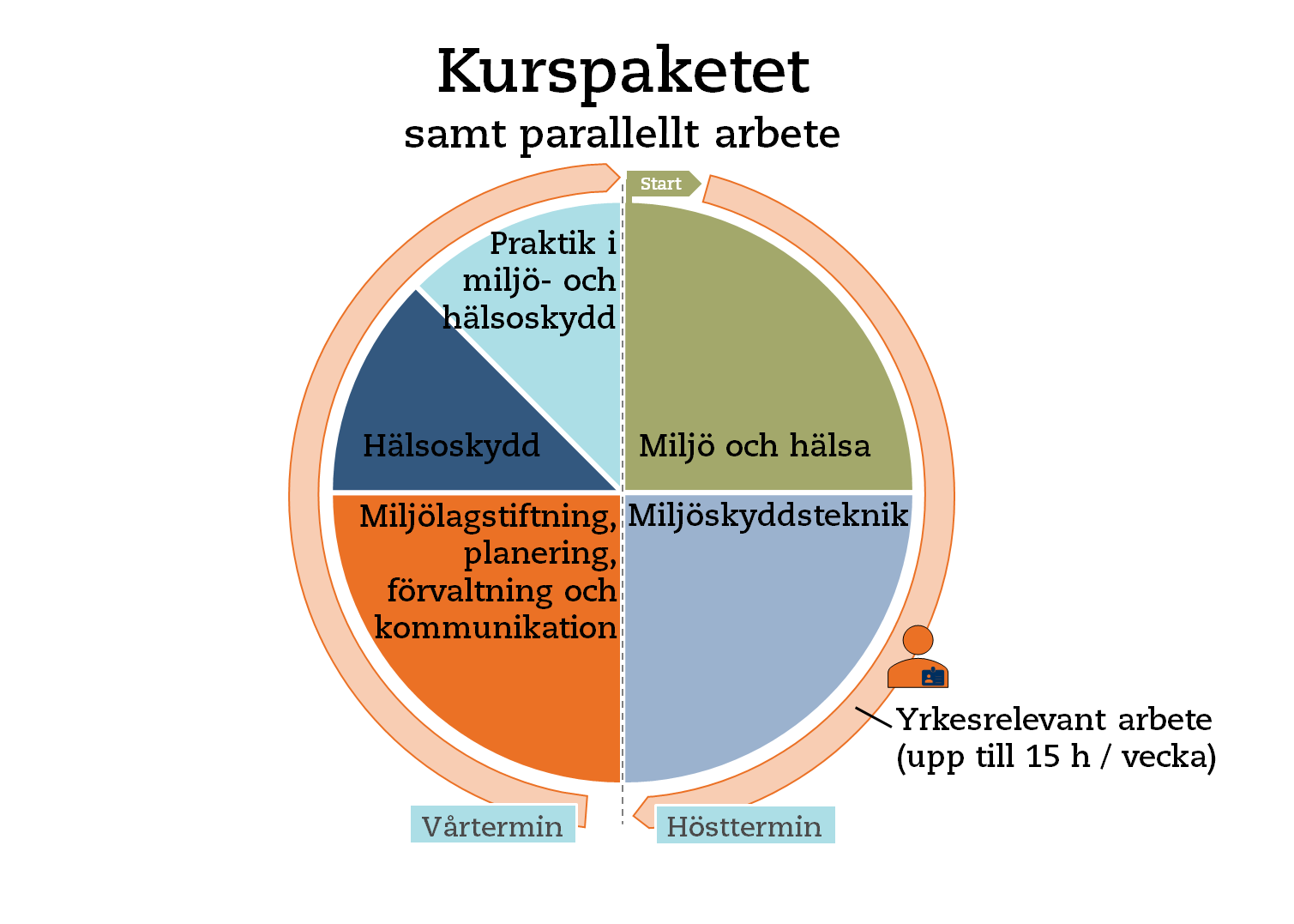 Kurspaketets layout som årskalender, med kursernas fördelning.