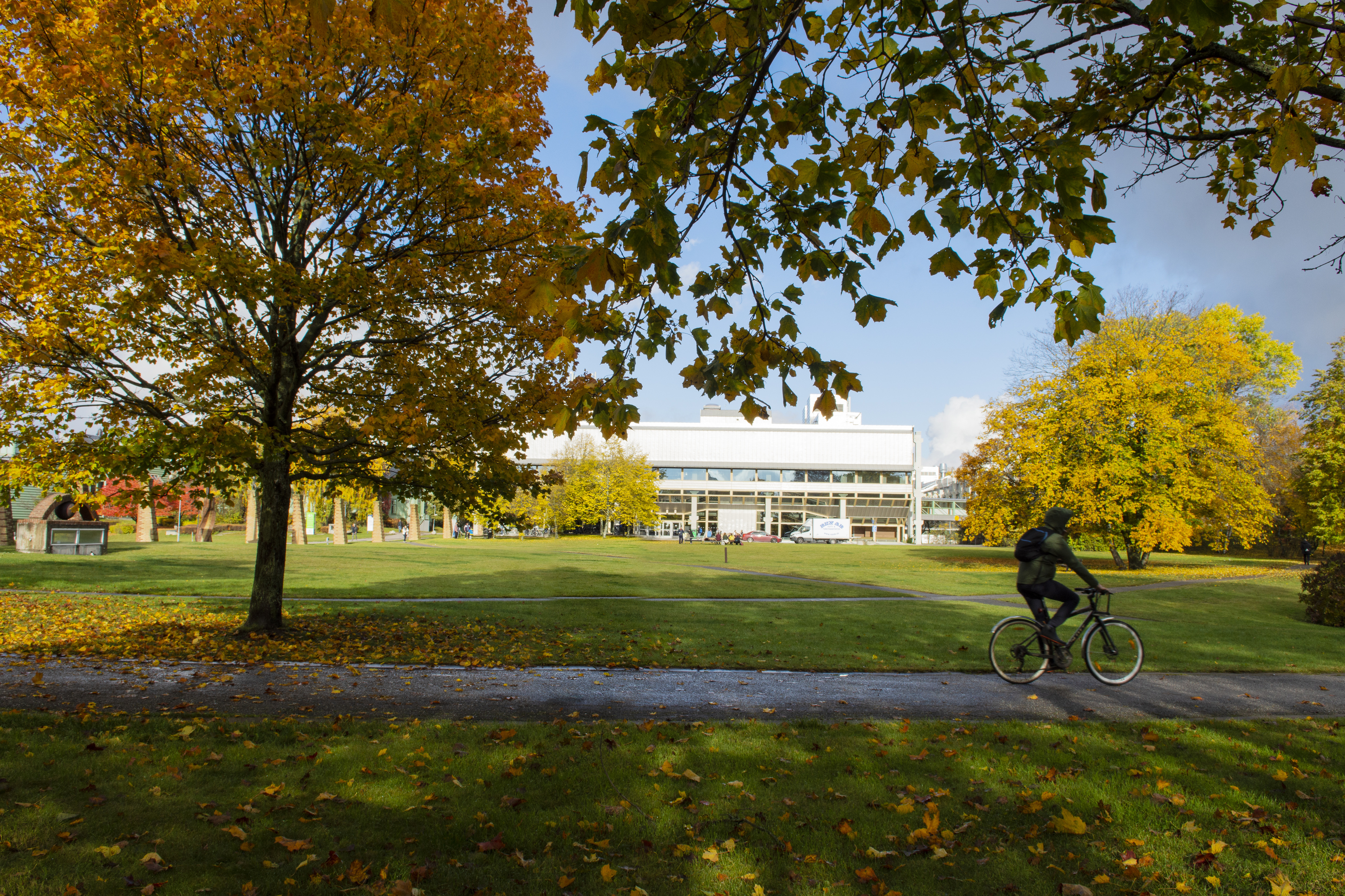 A person riding a bike on campus on an autumn's day.