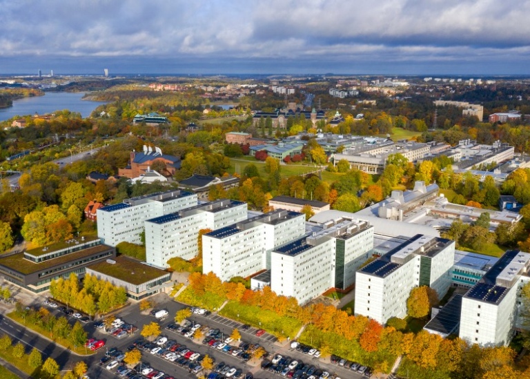 Södra husen, Frescati