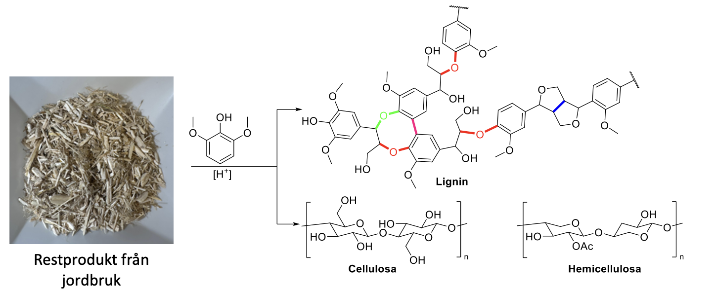 Träflis som biomassa kan separeras till cellulosa, hemicellulosa och lignin
