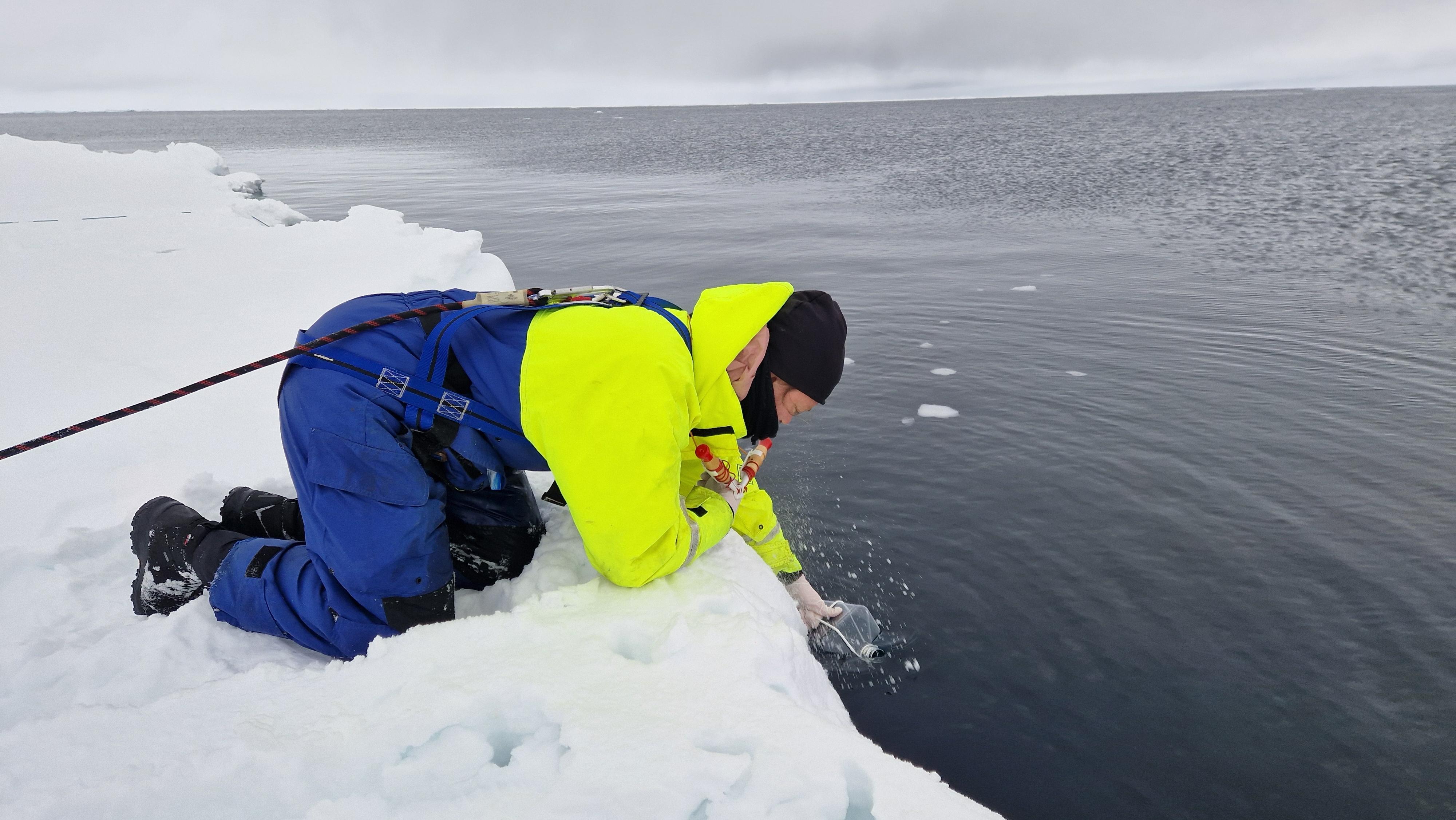 Caption: Linnea Huusko taking water samples from the ice edge.
