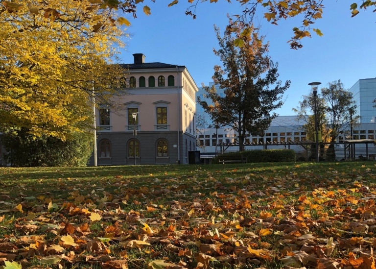 Höstbild framför Bloms hus