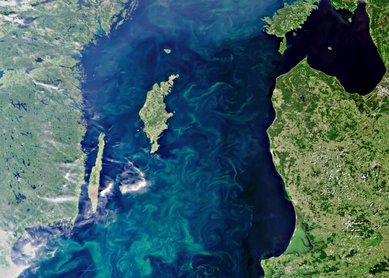 Satellitbild över Östersjön med algblomning sydost om Gotland och Öland
