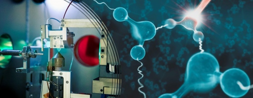 Atomic Motion in Liquid Water Molecules
