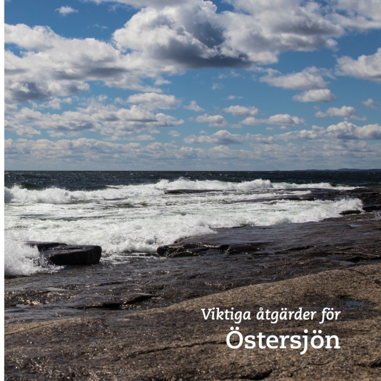 Publikationen Viktiga åtgärder för Östersjön