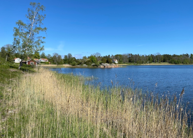 vacker skärgårdsvik