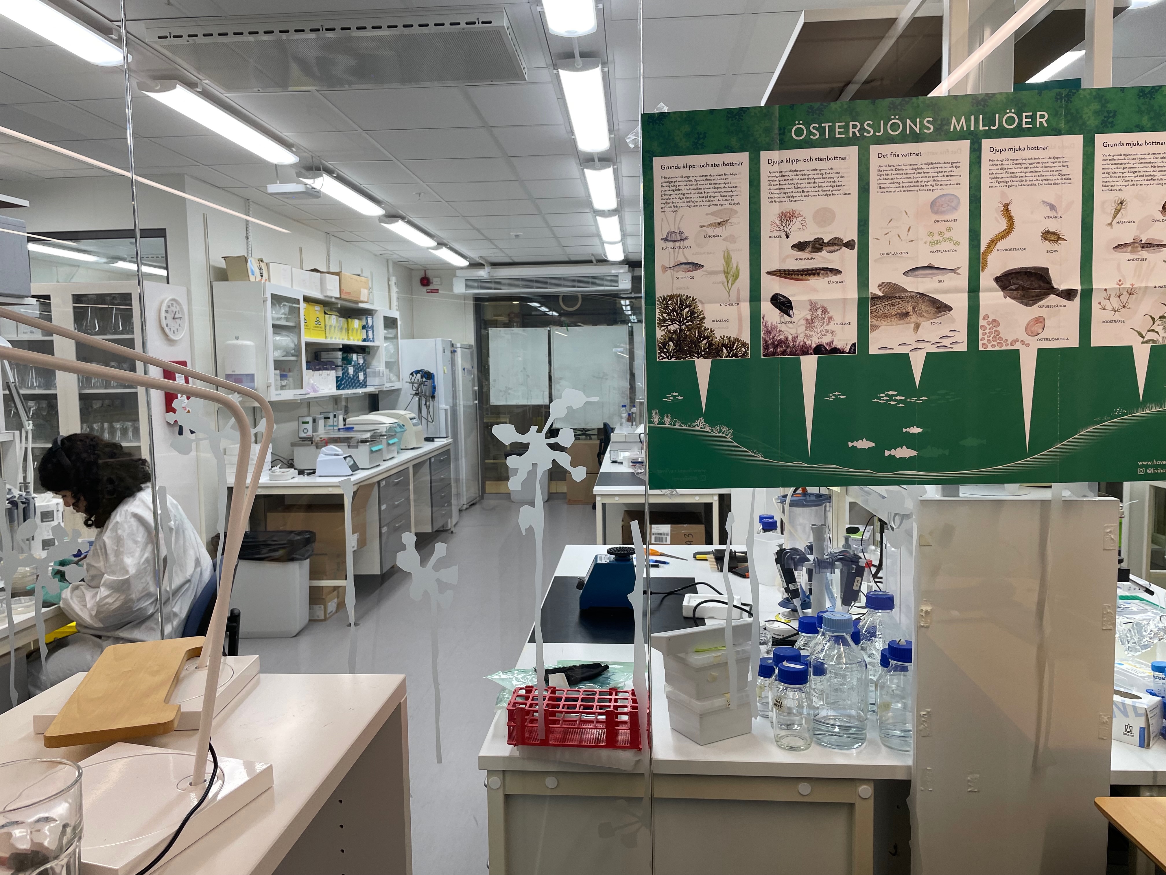 Laboratoriemiljö vid SciLifeLab i Solna.