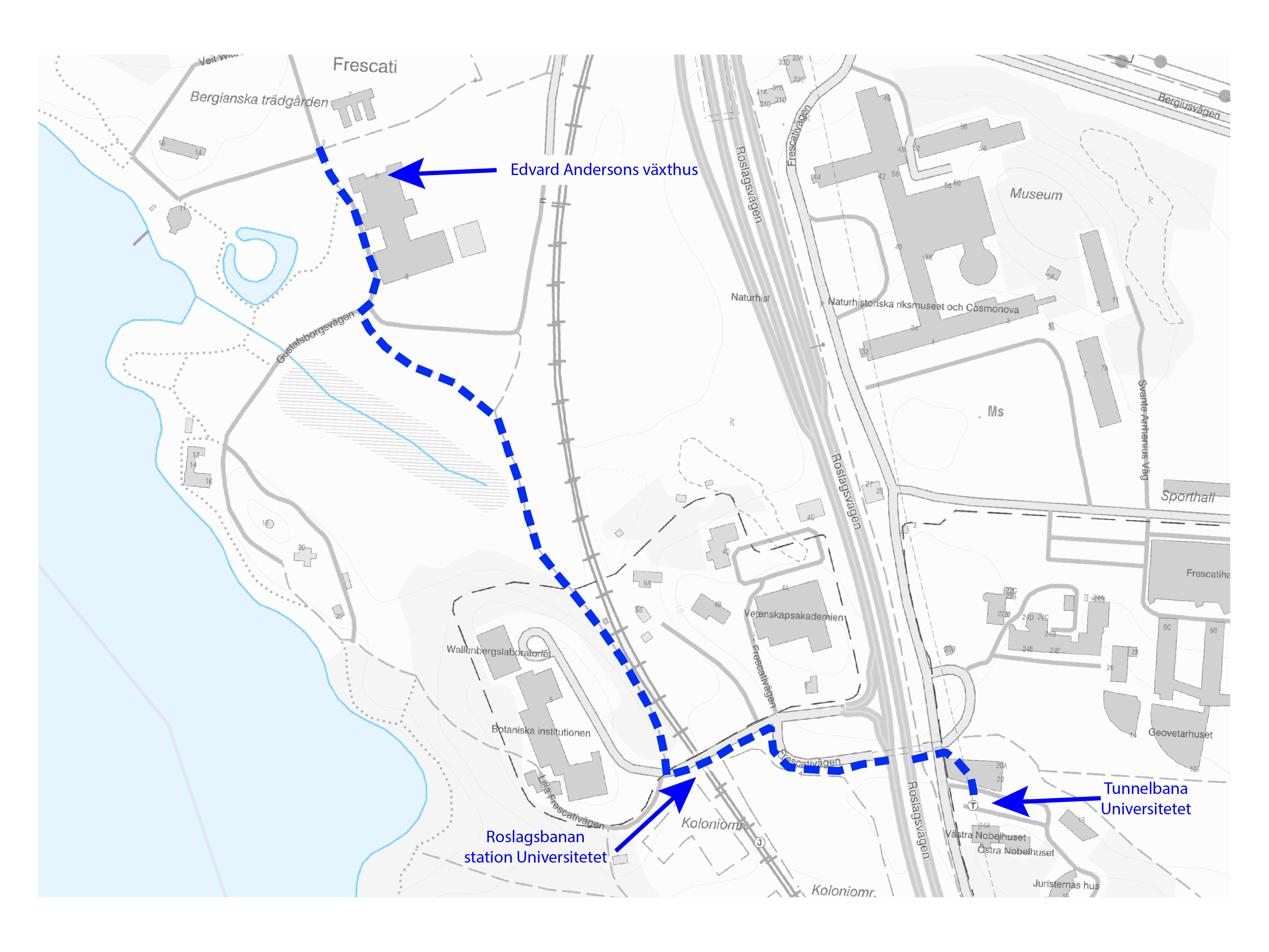 Promenadväg till Bergianska trädgården från tunnelbanestation Universitetet
