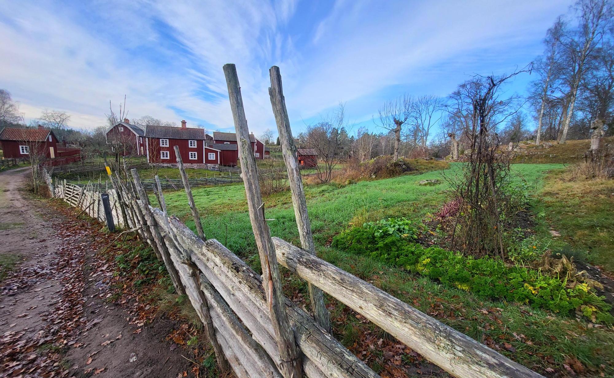 A traditional Swedish roundpole fence (gärdesgård) in the foreground, with red wooden cottages in the background.