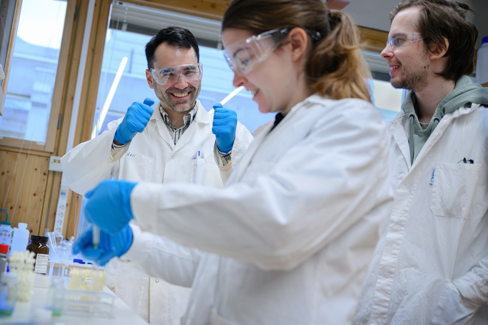 Researchers in a lab at the Department of Chemistry