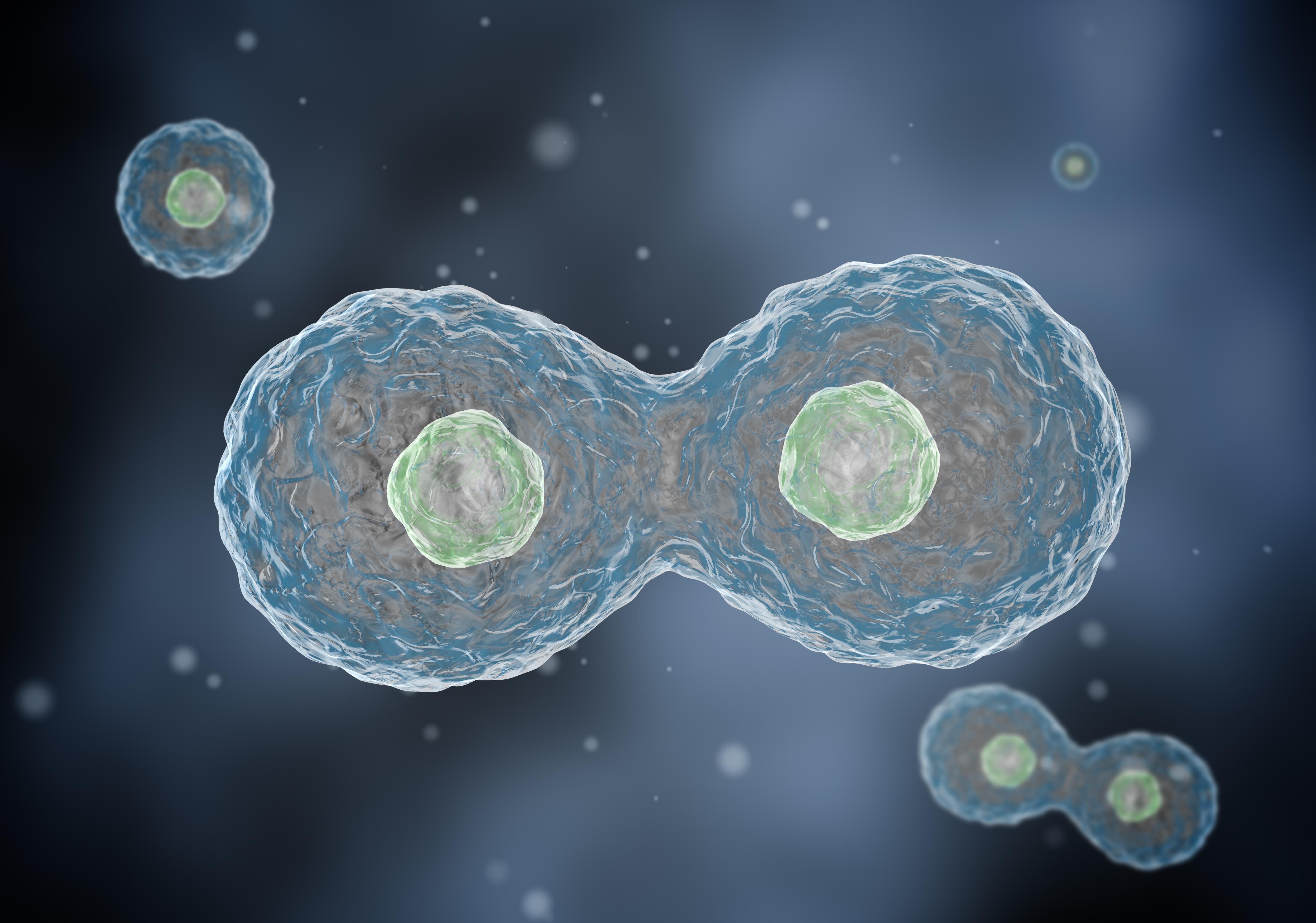 Multiplying cells