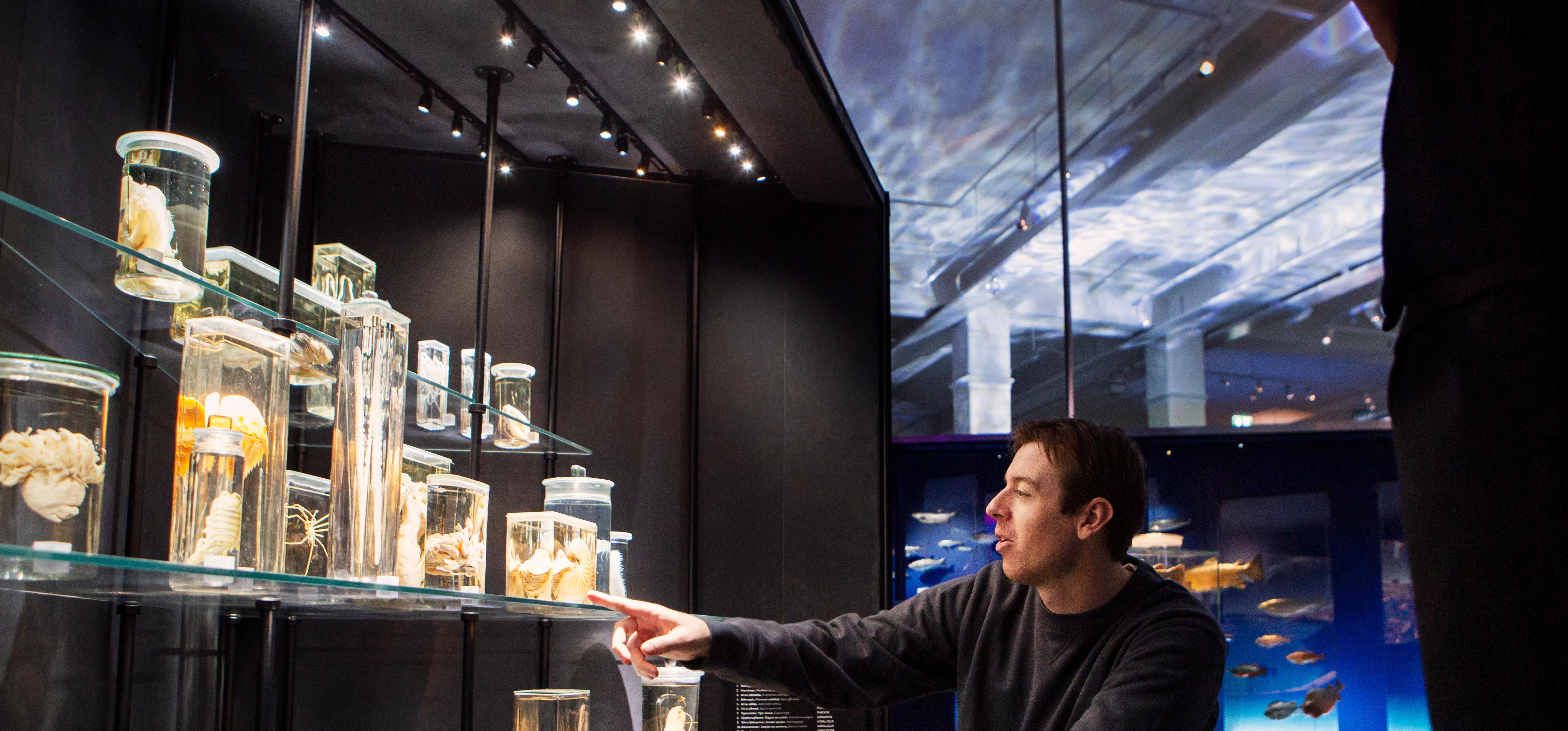 A man points at jar in a specimen collection.