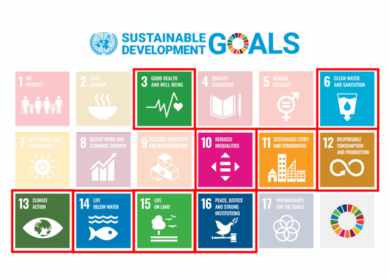 United Nations Sustainable Development Goals