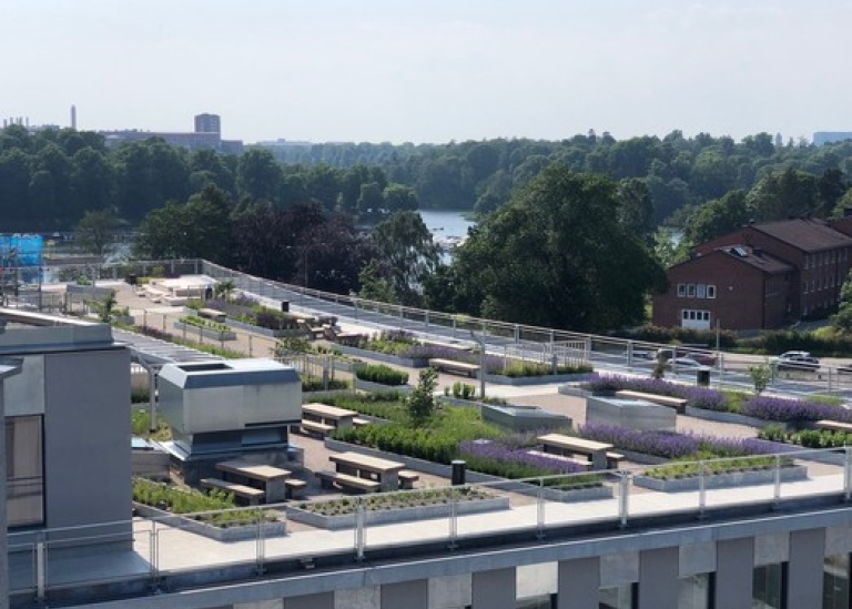Terrace Albano