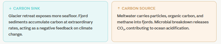 GREENCARB carbon sink and source
