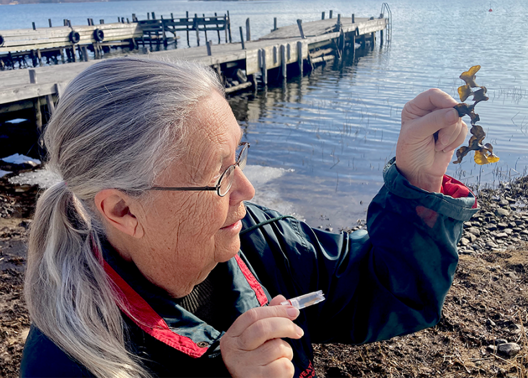 Lena Kautsky med blåstång