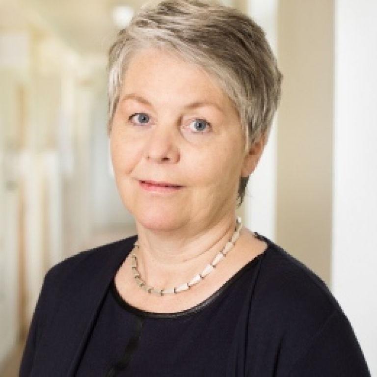 Anne-Li Lindgren. Foto: Niklas Björling