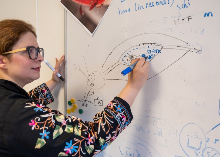 Noushin Emami ritar på en whiteboard