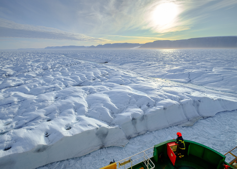 Glaciären möter havet