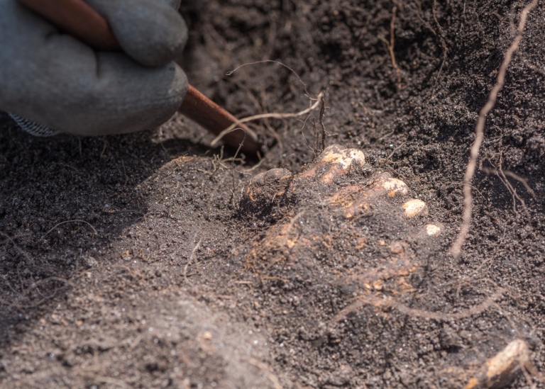 Archaeological excavation at Sandby Borg. Photo: Daniel Lindskog