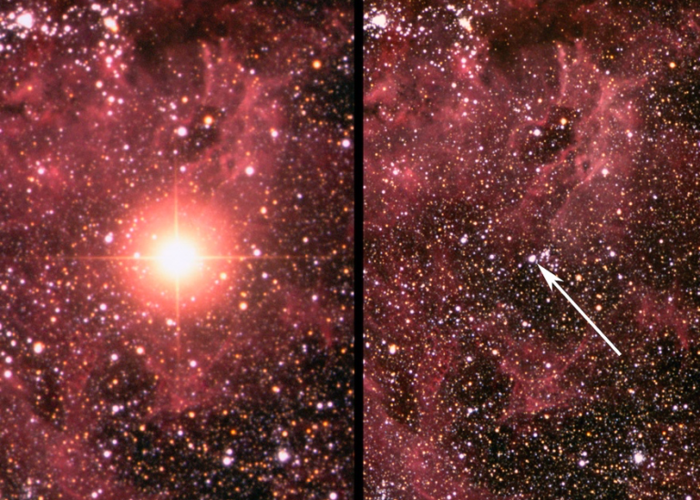 The star in the Large Magellanic Cloud