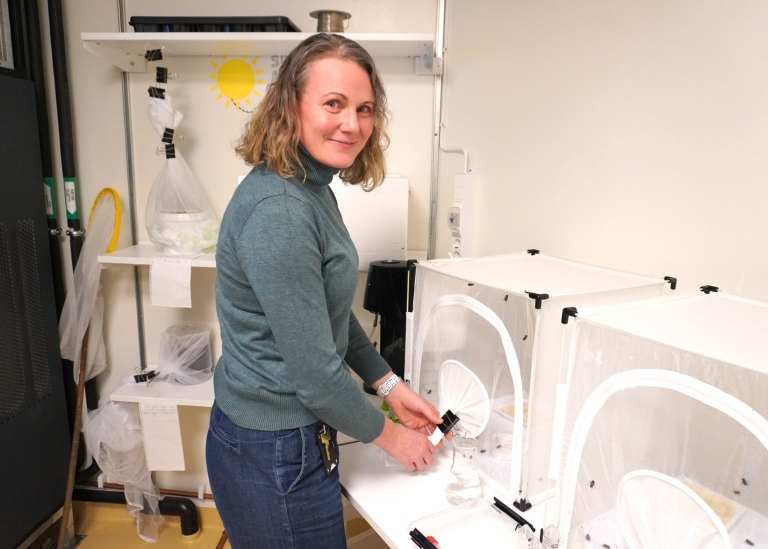 Researcher Emily Baird in her lab at Stockholm University