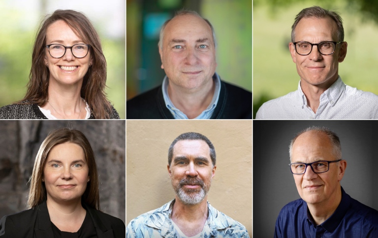 Portraits of six researchers combined