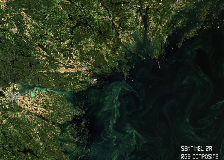 nutrients and eutrophication