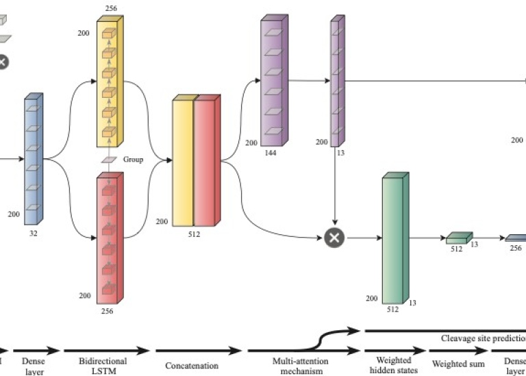 Bioinformatics – Machine learning in bioinformatics