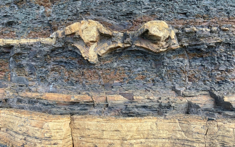 berg