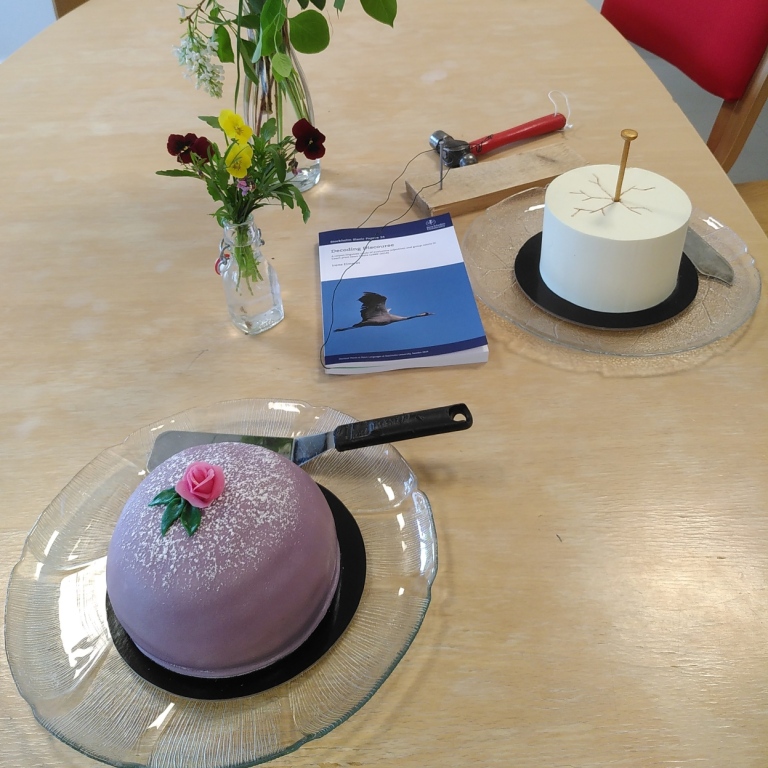 Bild från Irenes spikning.