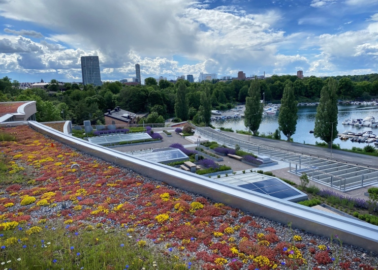 Vy mot Brunnsviken från konferenslokalens takterrass i Albano.