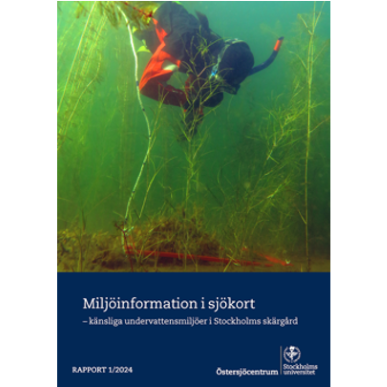 Rapport 1/2024