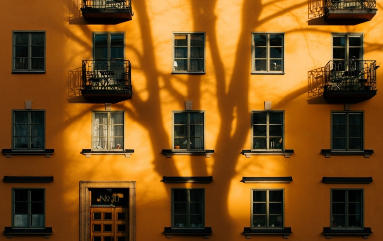 Shadow of a tree on a building
