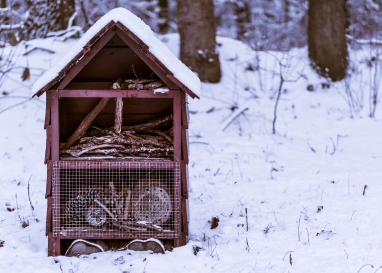 Insektshotell i ett vinterlandskap