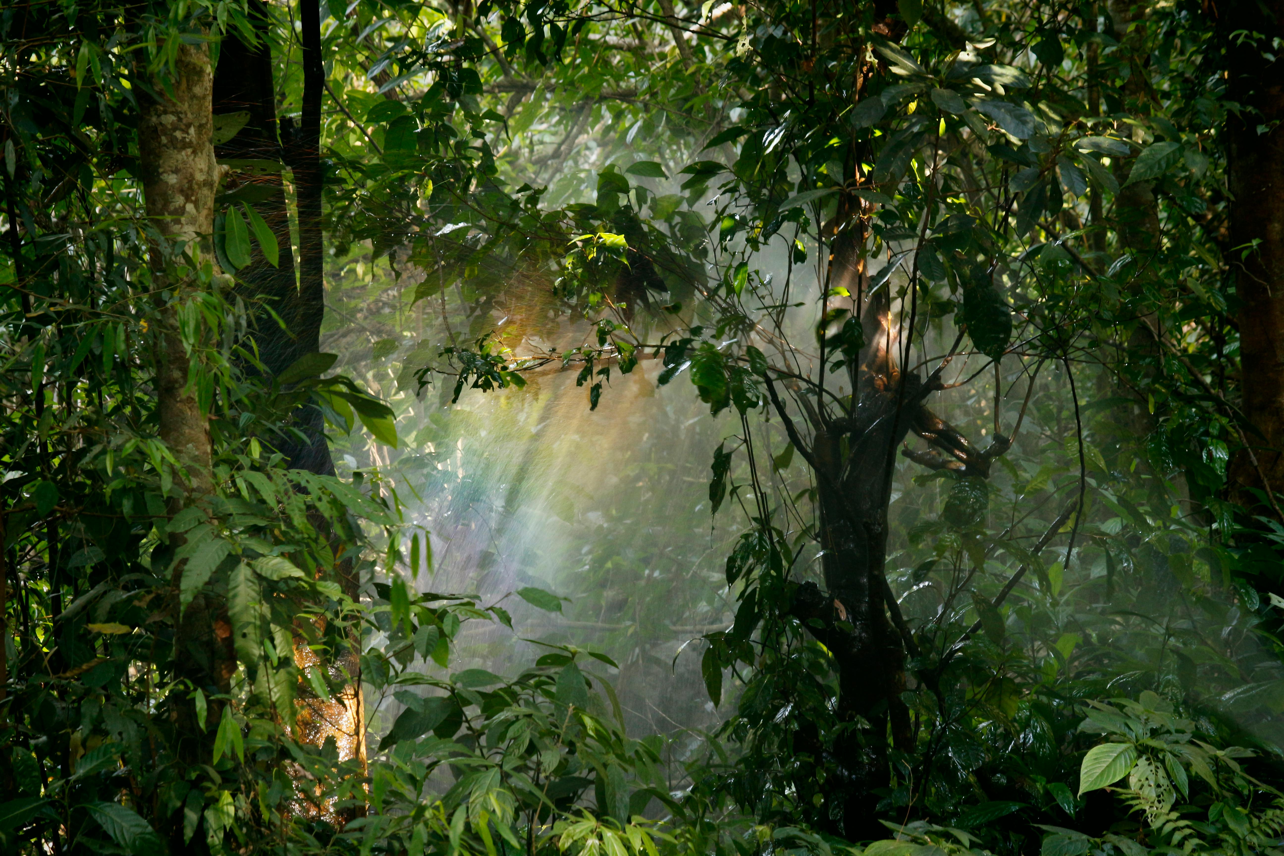 Photo: Nandhu Kumar @pexel.com