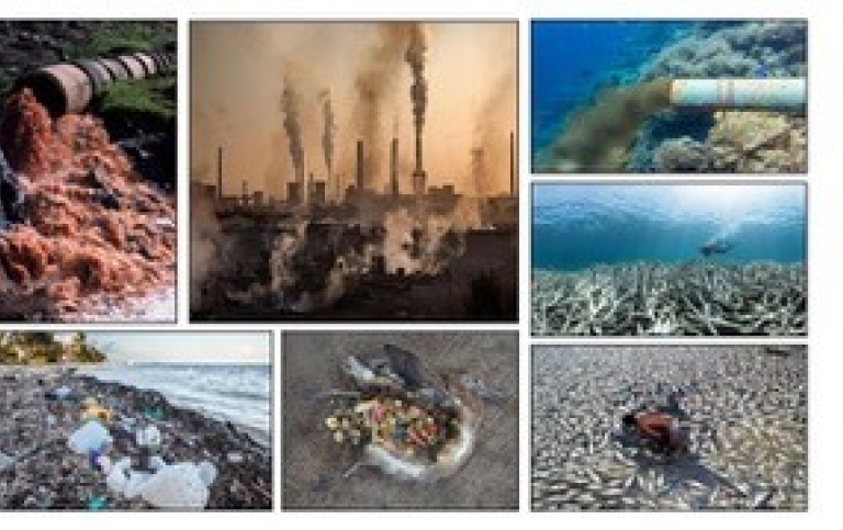 Collage of pictures showing different forms of pollution.