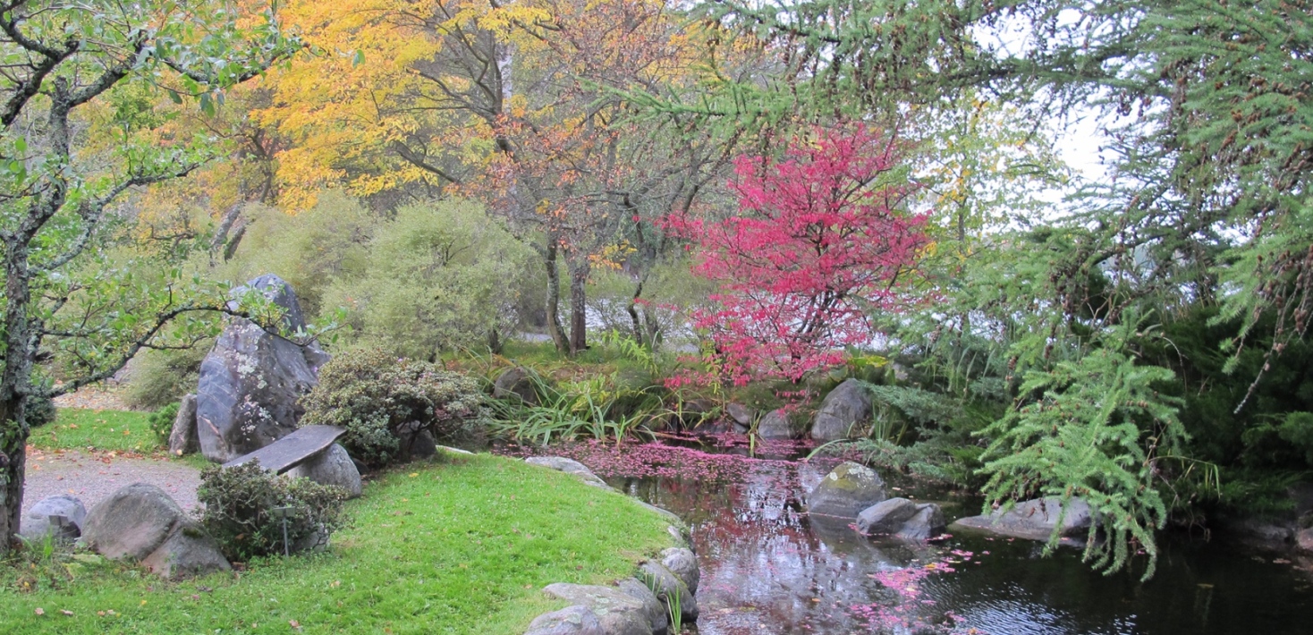 höstbild över japandammen