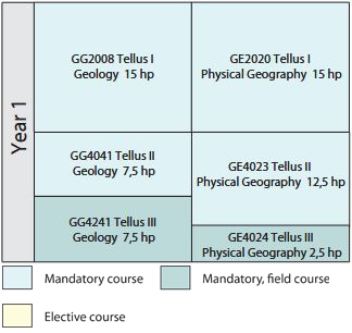 year 1 courses