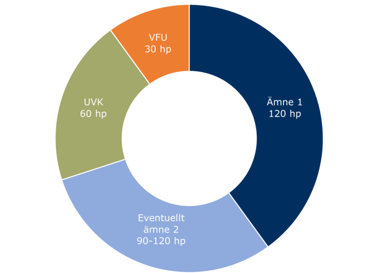 Diagram över ämneslärarexamen för gymnasieskolan