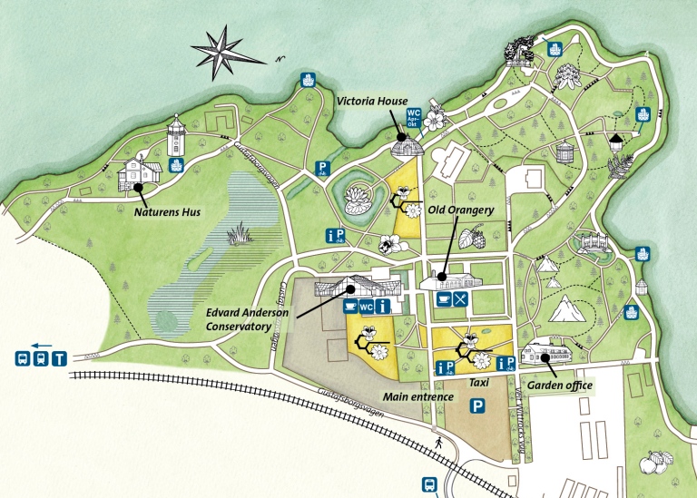 Map of the Bergius Botanic Garden. Drawing: Veronica Lendel